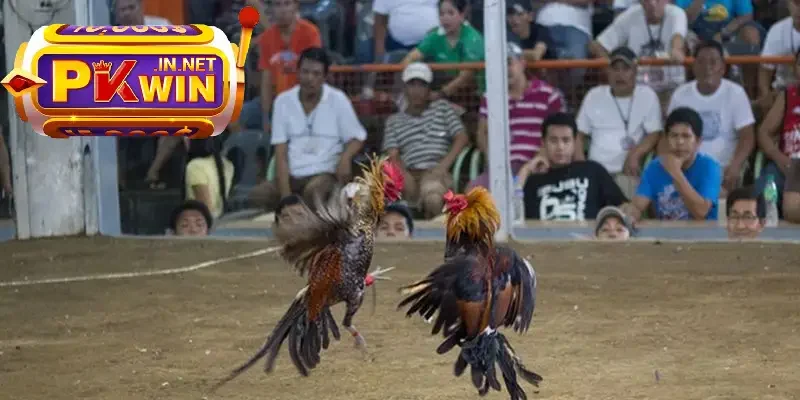 kỹ thuật chuẩn, hiểm hóc