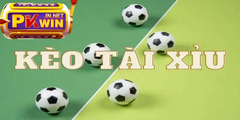 mẹo chơi cá cược hay